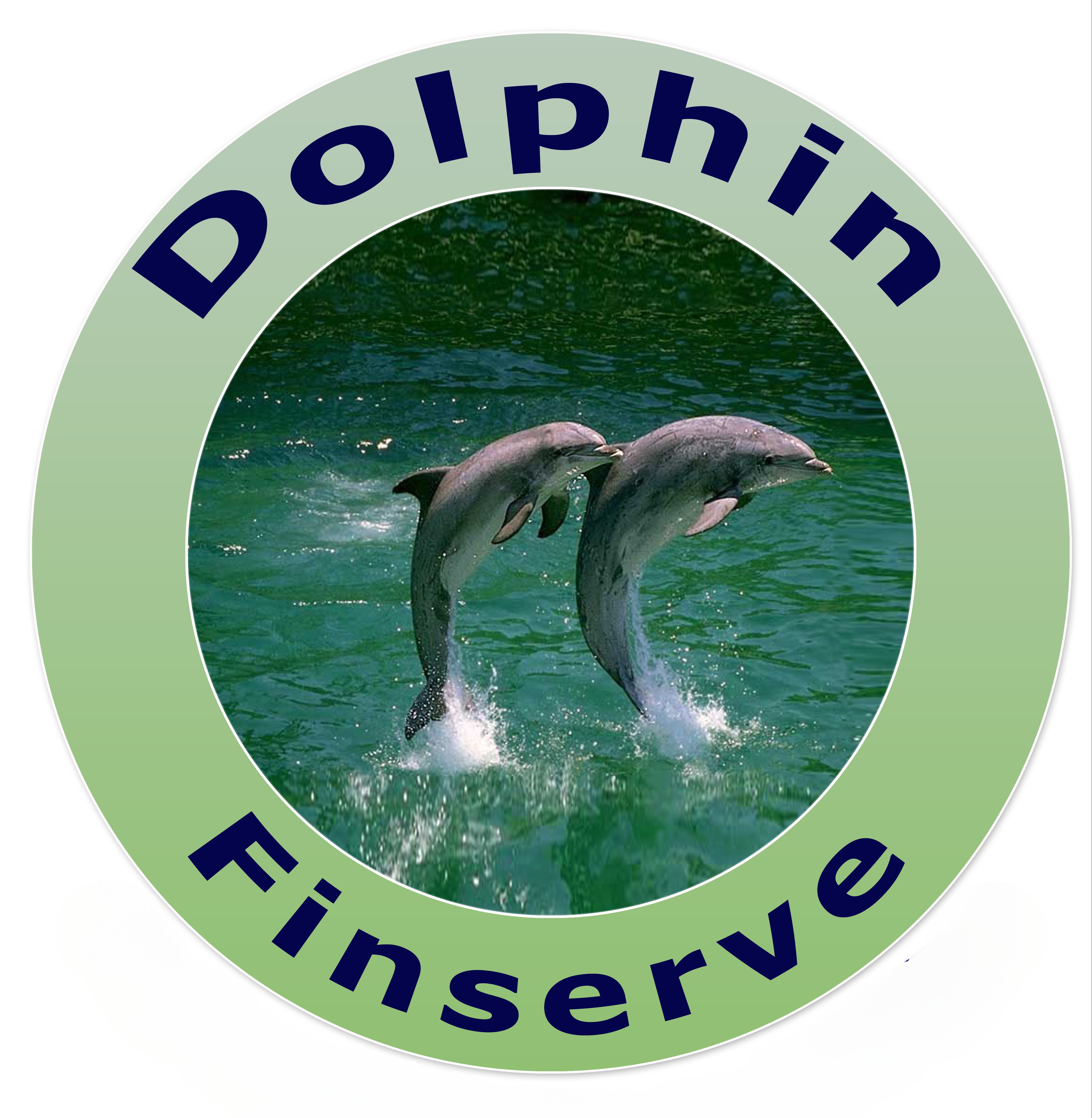 dolphinfinserve